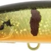 DUO FANGBAIT 80 DR – AOA3327 PEACOCK BASS HD en ligne 7