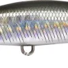 Leurre Duo Rough Trail Blazin 70 S CLEAR ANCHOVY site en ligne 5