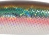 Leurre Duo Tide Minnow 90S OCEAN BAIT Nouvelle tendance 5