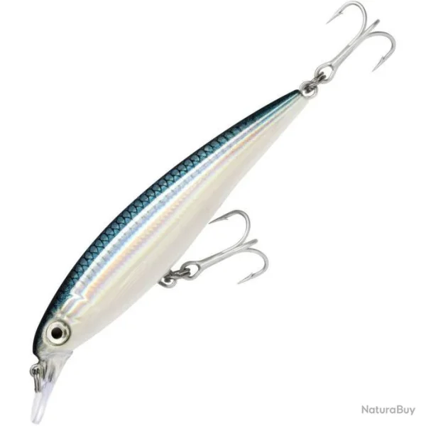 Rapala X-rap Saltwater 10cm Bfh pas cher marque 1